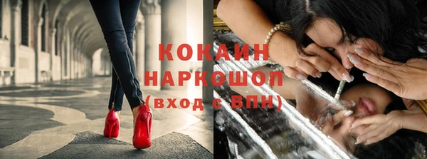 ПСИЛОЦИБИНОВЫЕ ГРИБЫ Гусиноозёрск