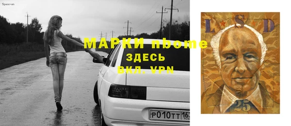 хмурый Бикин