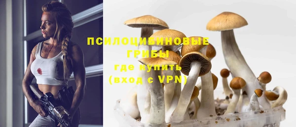 прущая мука Гусь-Хрустальный