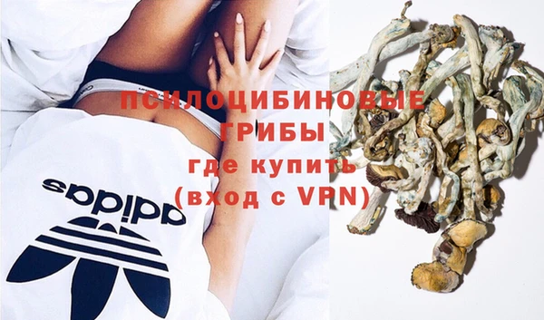 ПСИЛОЦИБИНОВЫЕ ГРИБЫ Гусиноозёрск