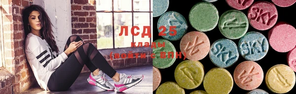 ПСИЛОЦИБИНОВЫЕ ГРИБЫ Гусиноозёрск
