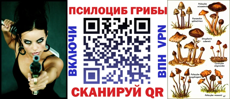 Галлюциногенные грибы Psilocybine cubensis  закладка  Заринск 